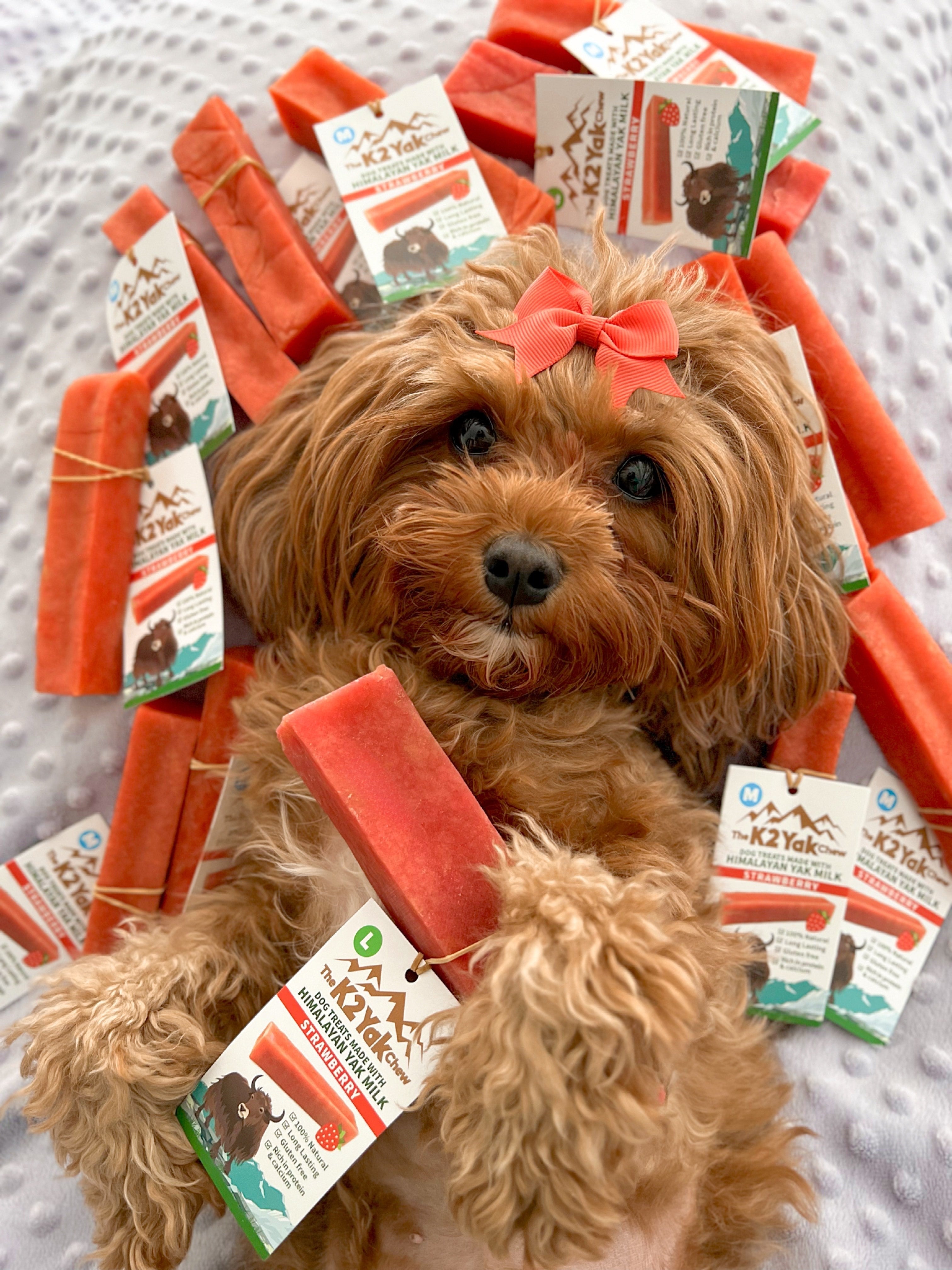 What Are Yak Chews?