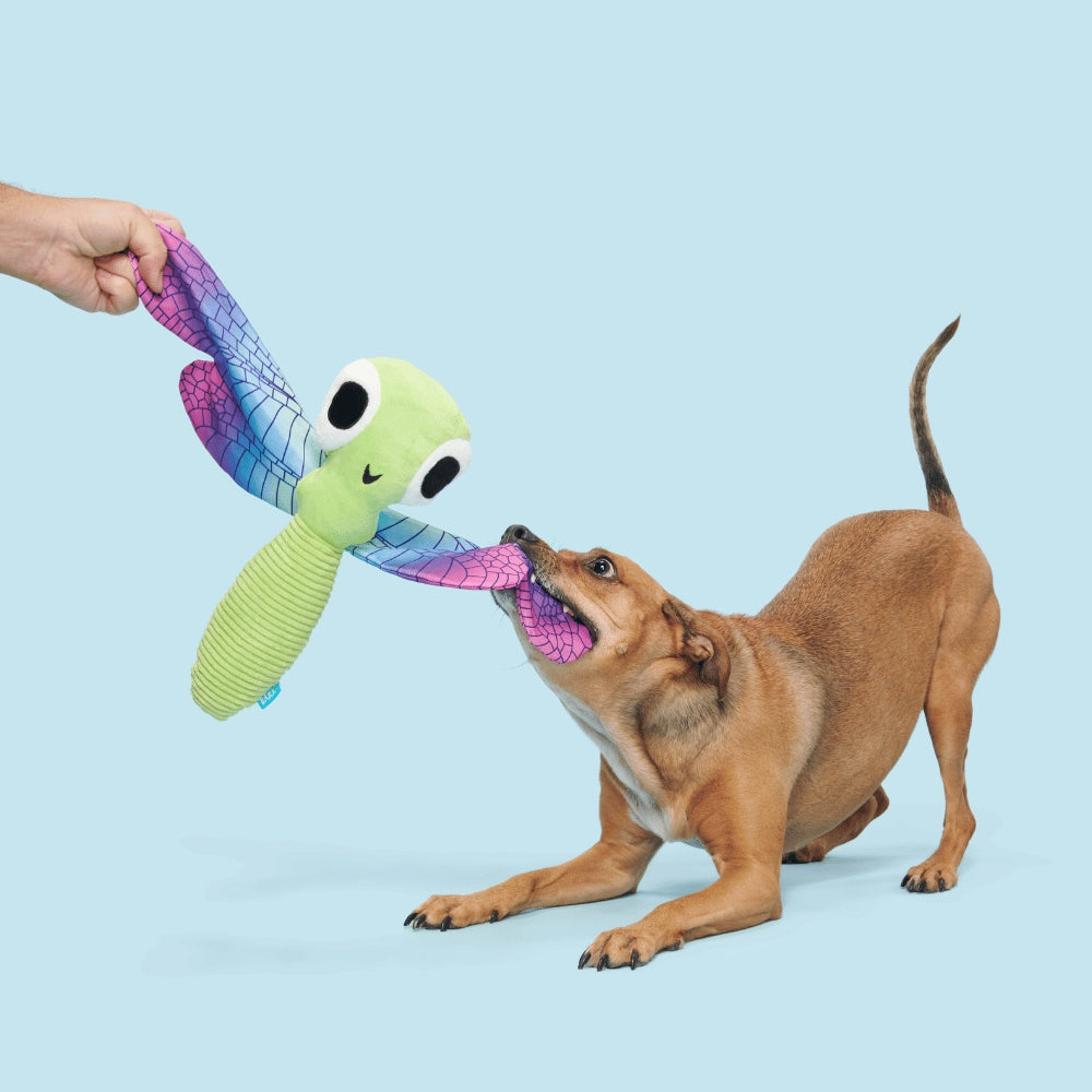 BARK Dragonfly Guy Backyard Garden Dog Toy