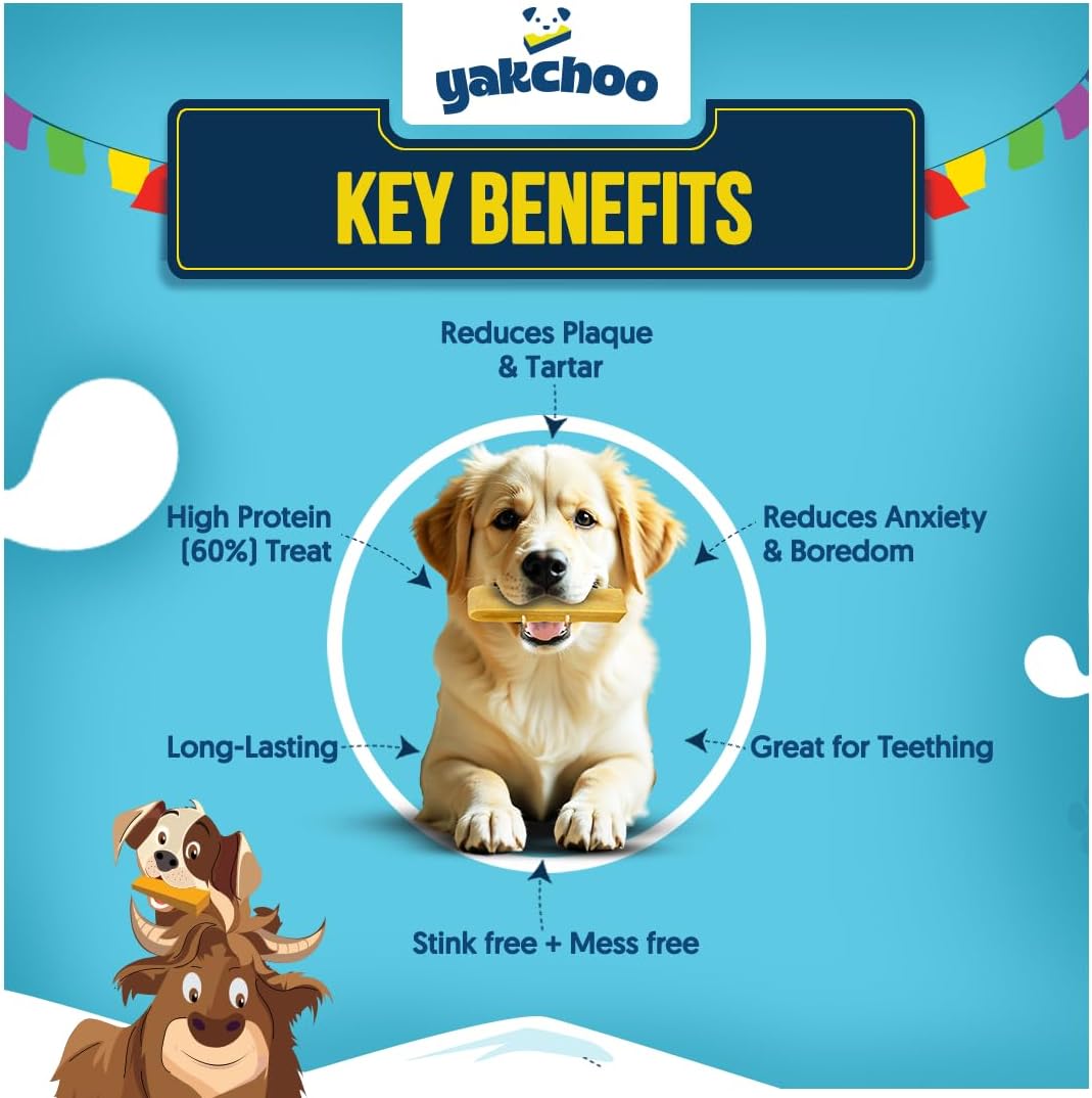 Yakchoo Himalayan Yak Cheese Dog Chews – Medium 70g - Blueberry Strawberry & Cranberry 3 Pack