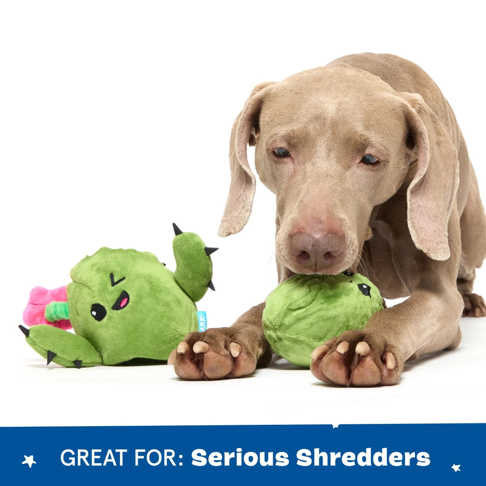 BARK Consuela The Cactus Plush Dog Toy
