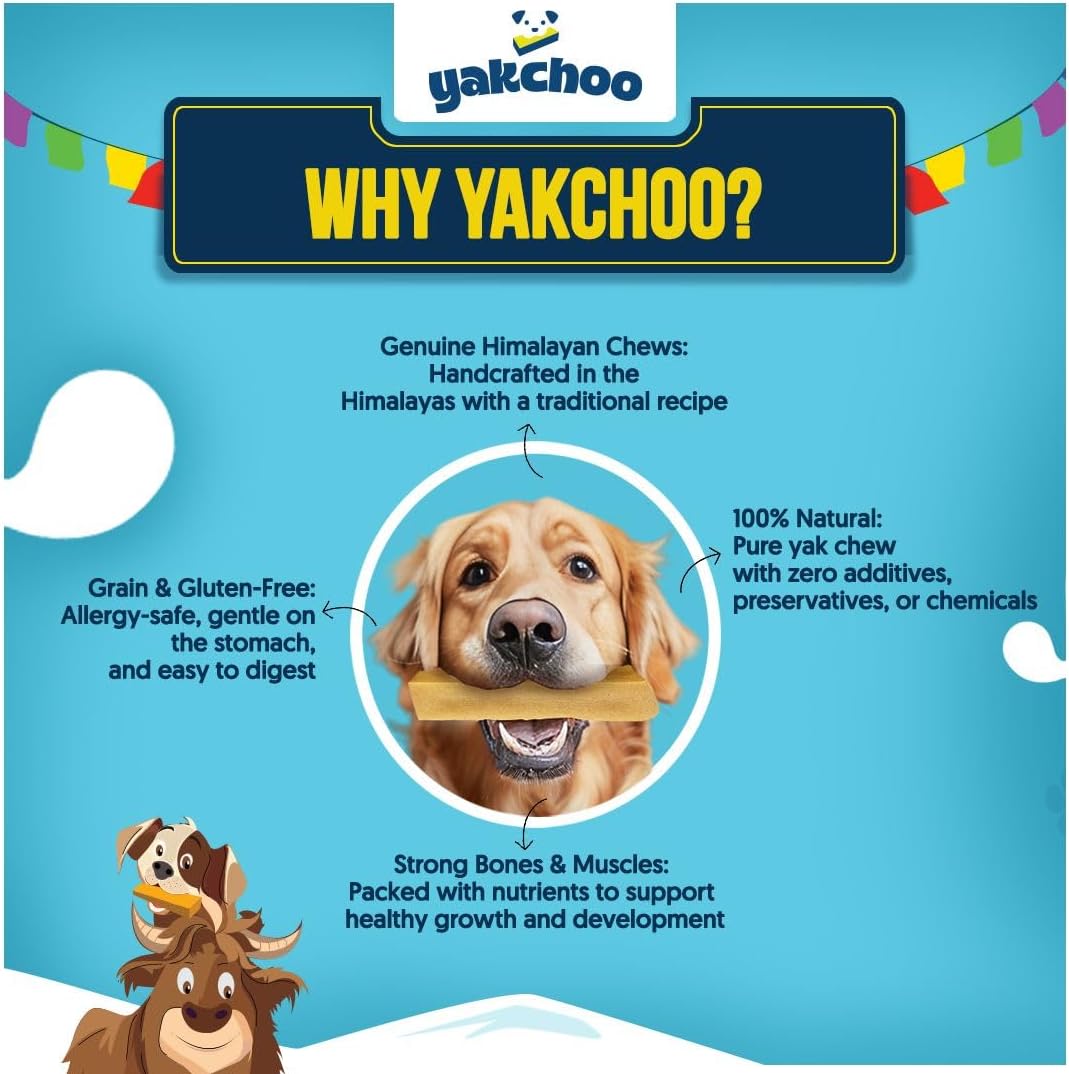 Yakchoo Himalayan Yak Cheese Dog Chews – Medium 70g - Blueberry Strawberry & Peanut Butter 3 Pack