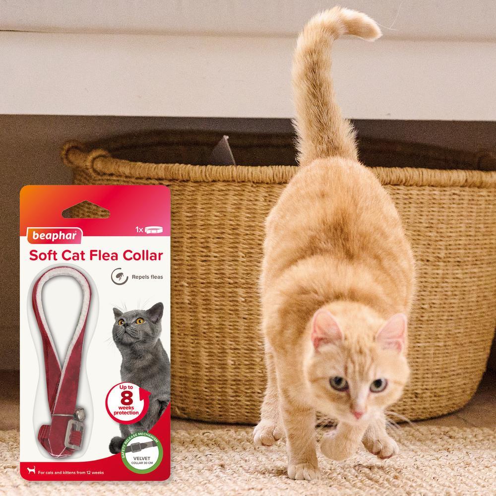 Beaphar Cat Collar Repels Fleas Velvet