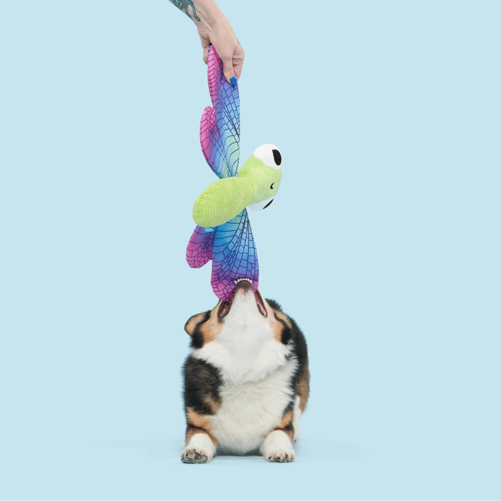 BARK Dragonfly Guy Backyard Garden Dog Toy