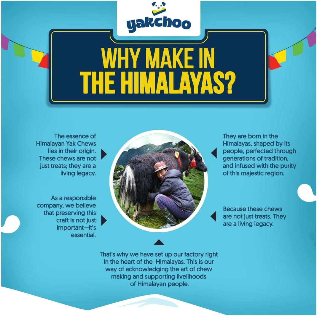 Yakchoo Himalayan Yak Cheese Dog Chews – Medium 70g - Blueberry Coconut & Mango 3 Pack