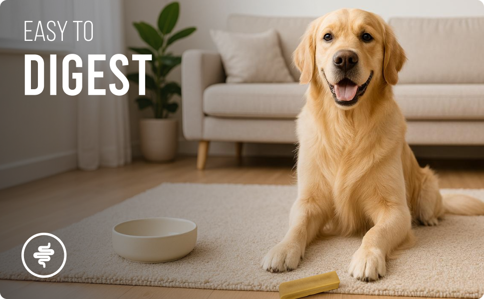 Yakchoo Himalayan Yak Cheese Dog Chews – X-Large 150g - 1 or 2 Pack Options