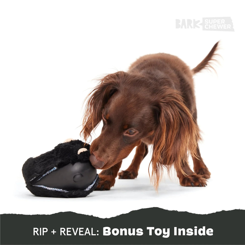 BARK Black Bear Bones Super Chewer Dog Toy