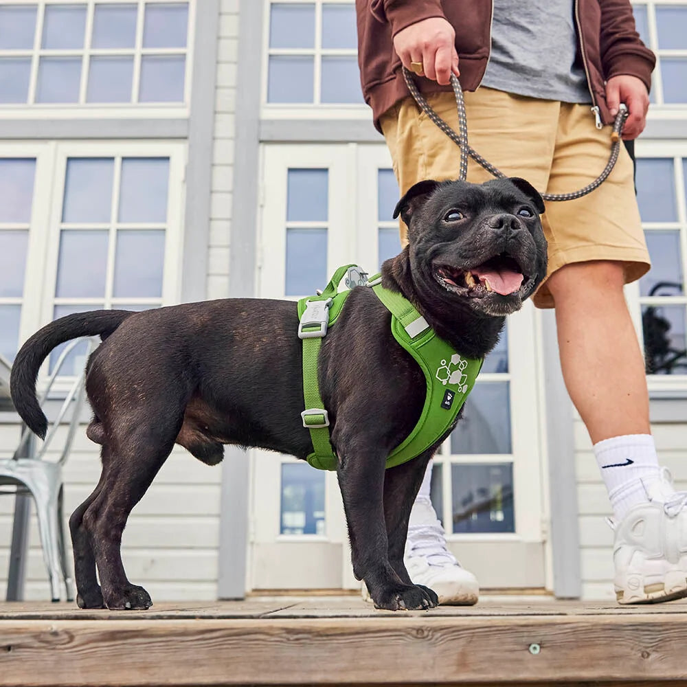 Hurtta Weekend Warrior II ECO Dog Harness Raven 5 Sizes