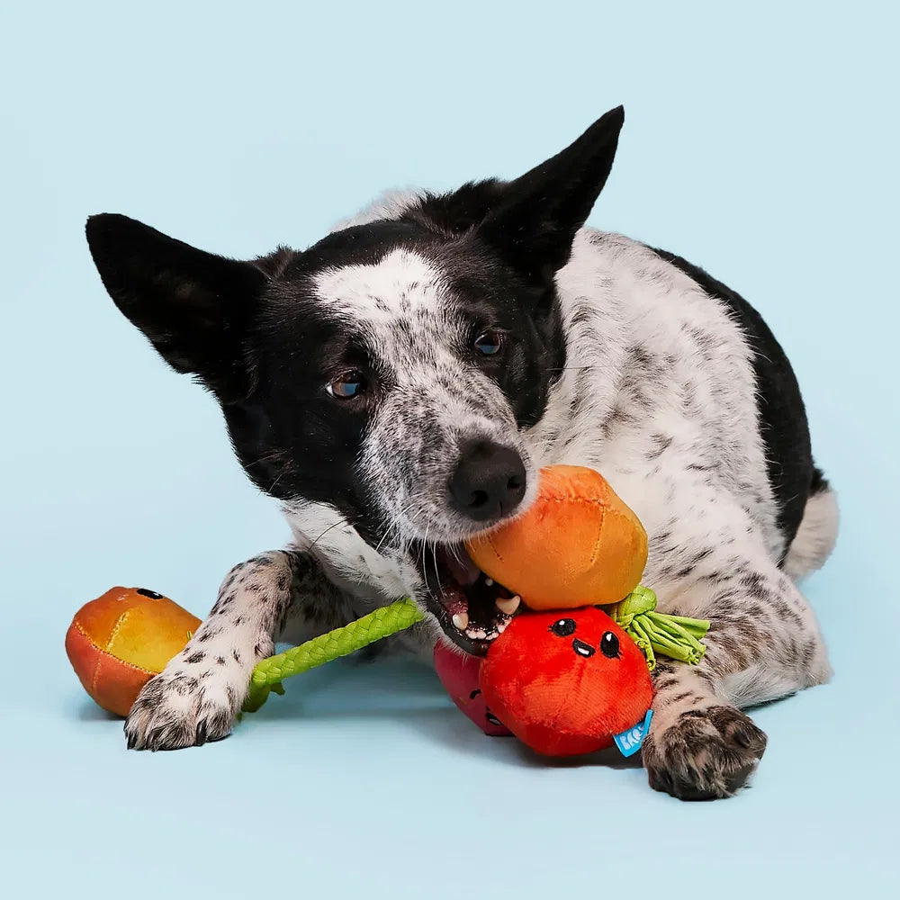 BARK Hairloom Tomatoes Plush Rope Dog Toy