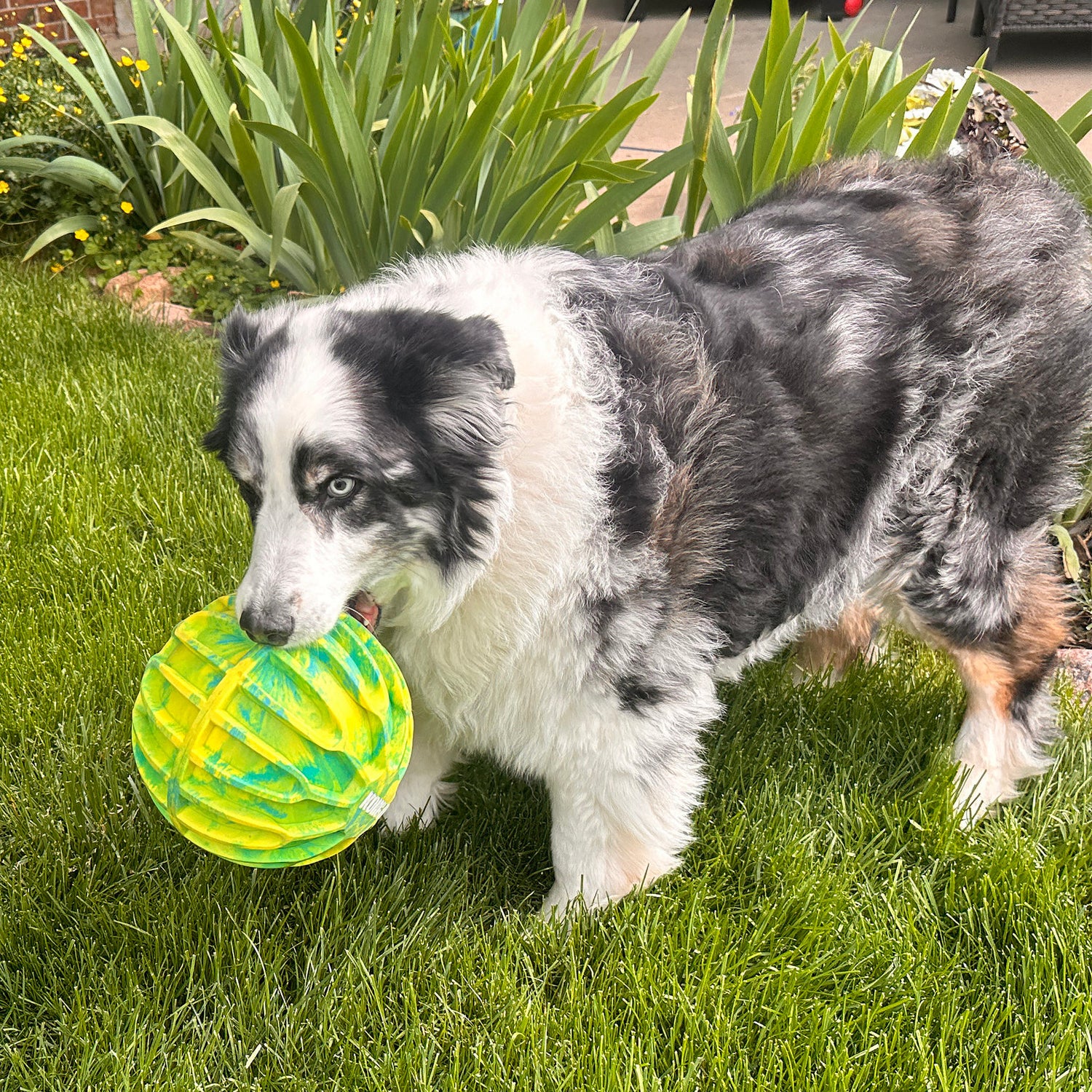 KONG Flexball Sport Ball