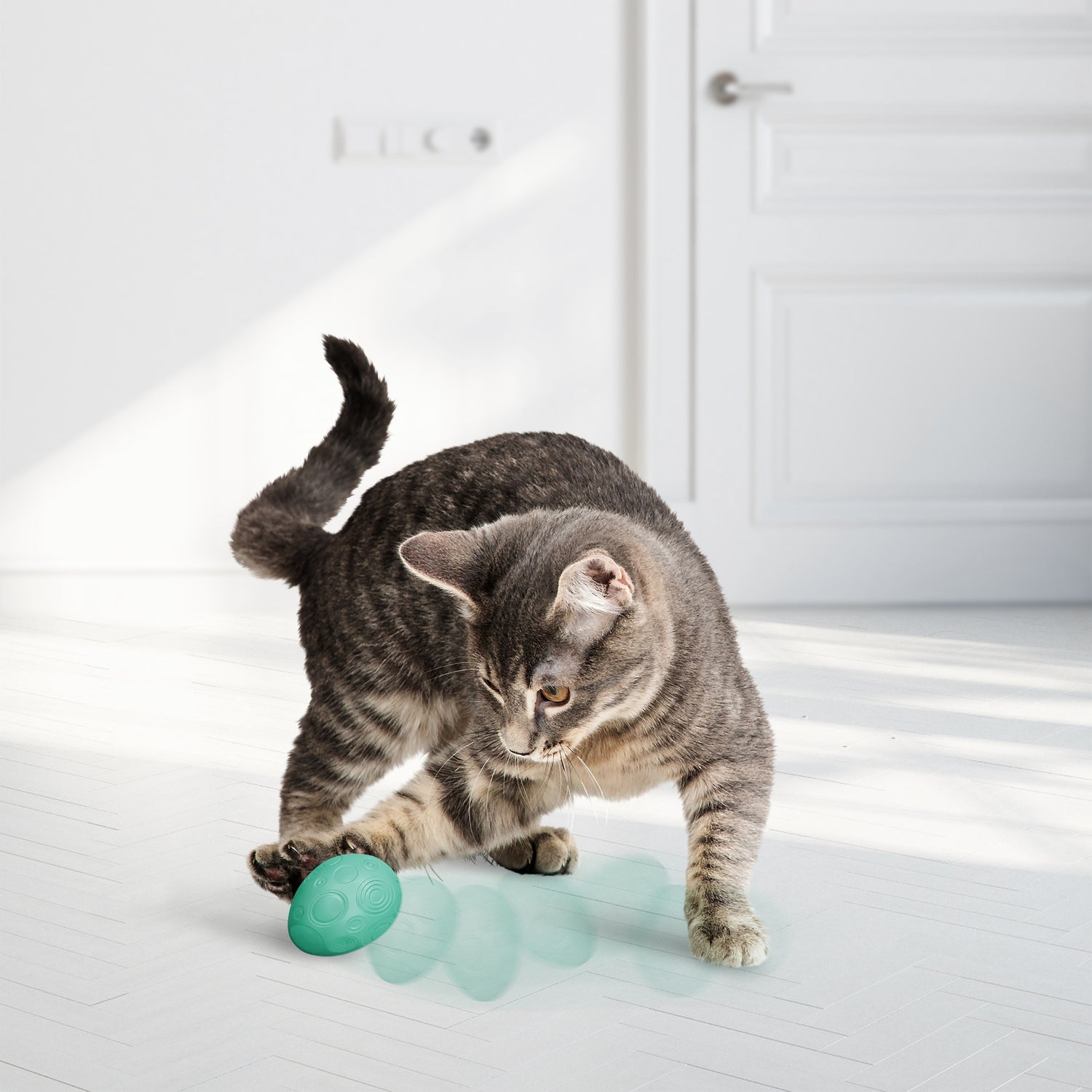 KONG Infused™ Catnip Egg 2pk