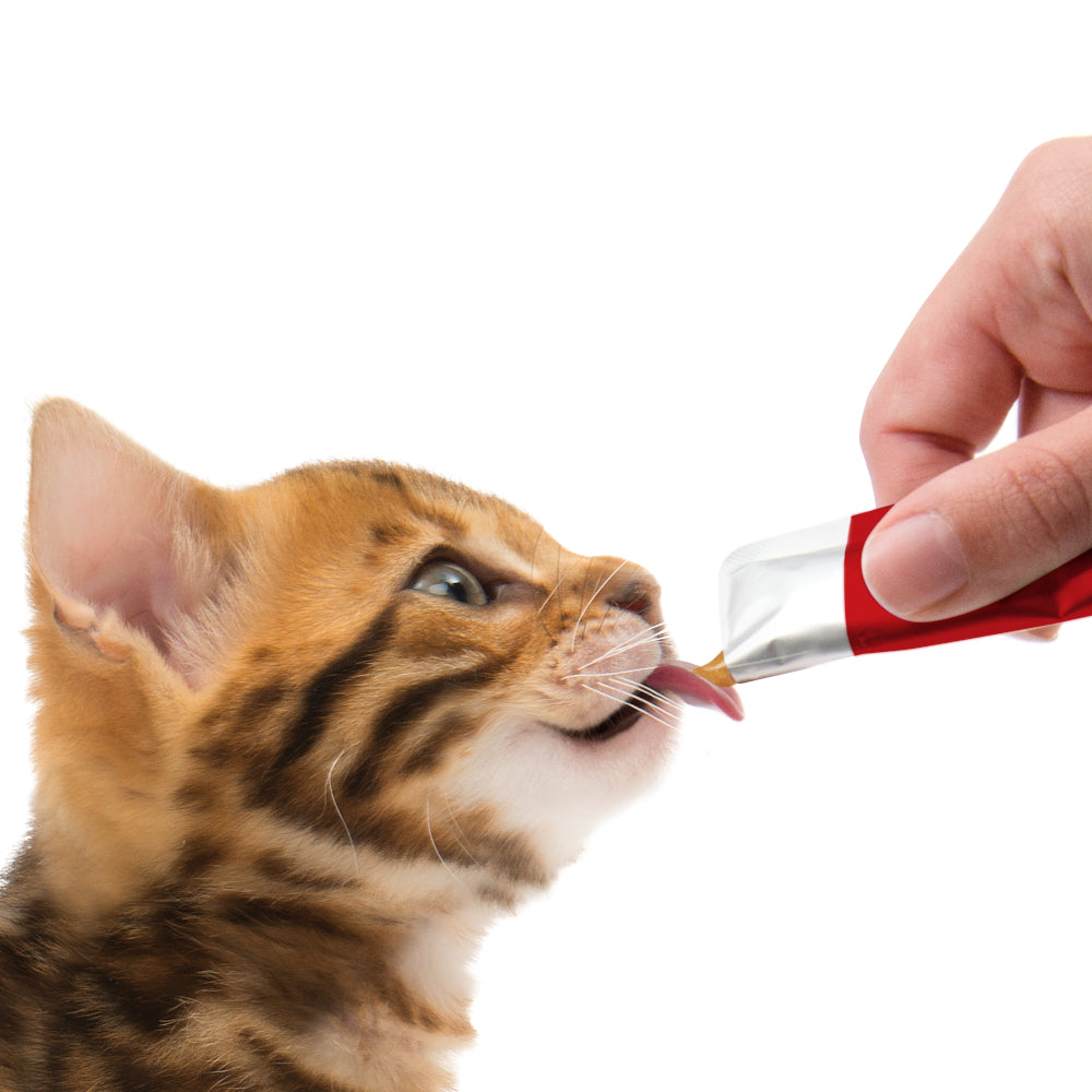 Catit Creamy All Natural Cat Treats Line Caught Tuna