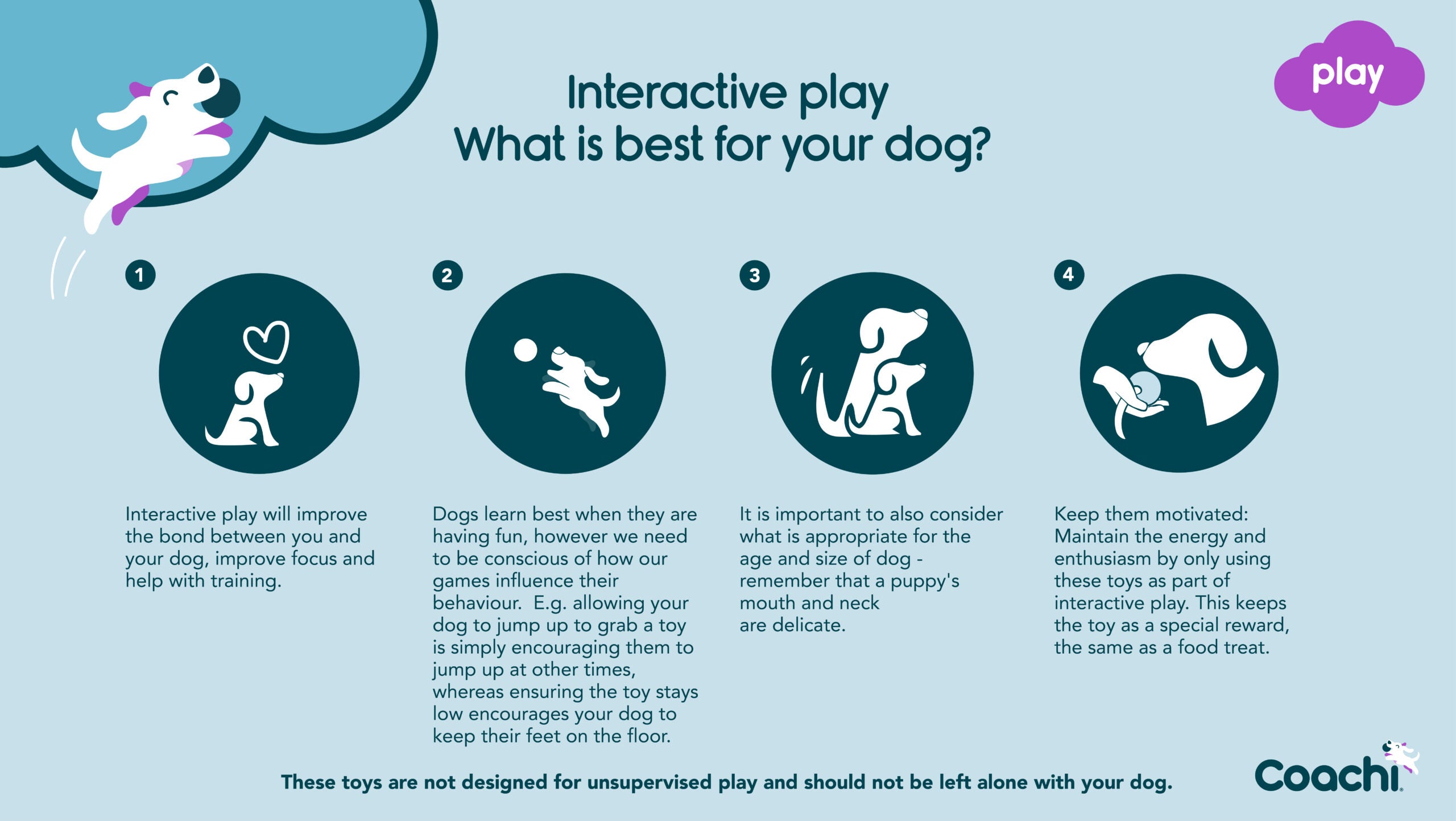 Coachi Tuggi Spider Navy Lime & Light Blue Training Toy