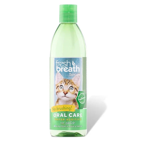 Cat Dental