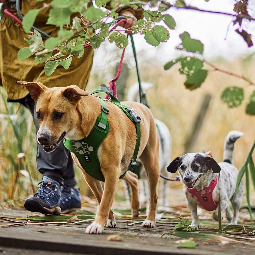 Hurtta Weekend Warrior II ECO Dog Harness Raven 5 Sizes