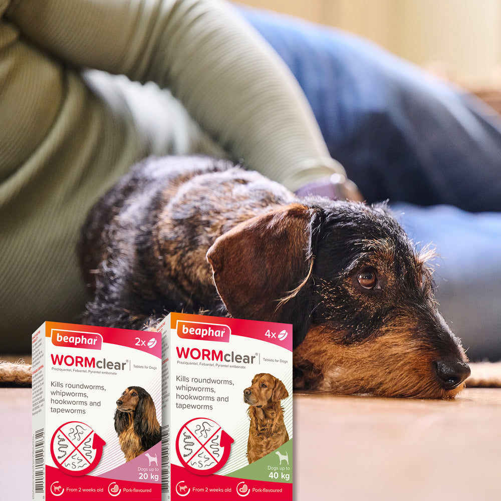 Beaphar WORMclear for Small Dogs up to 20kg Worming Tablets x 2