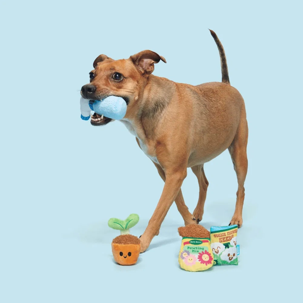 BARK Greenhouse Gang Backyard Garden Dog Toy