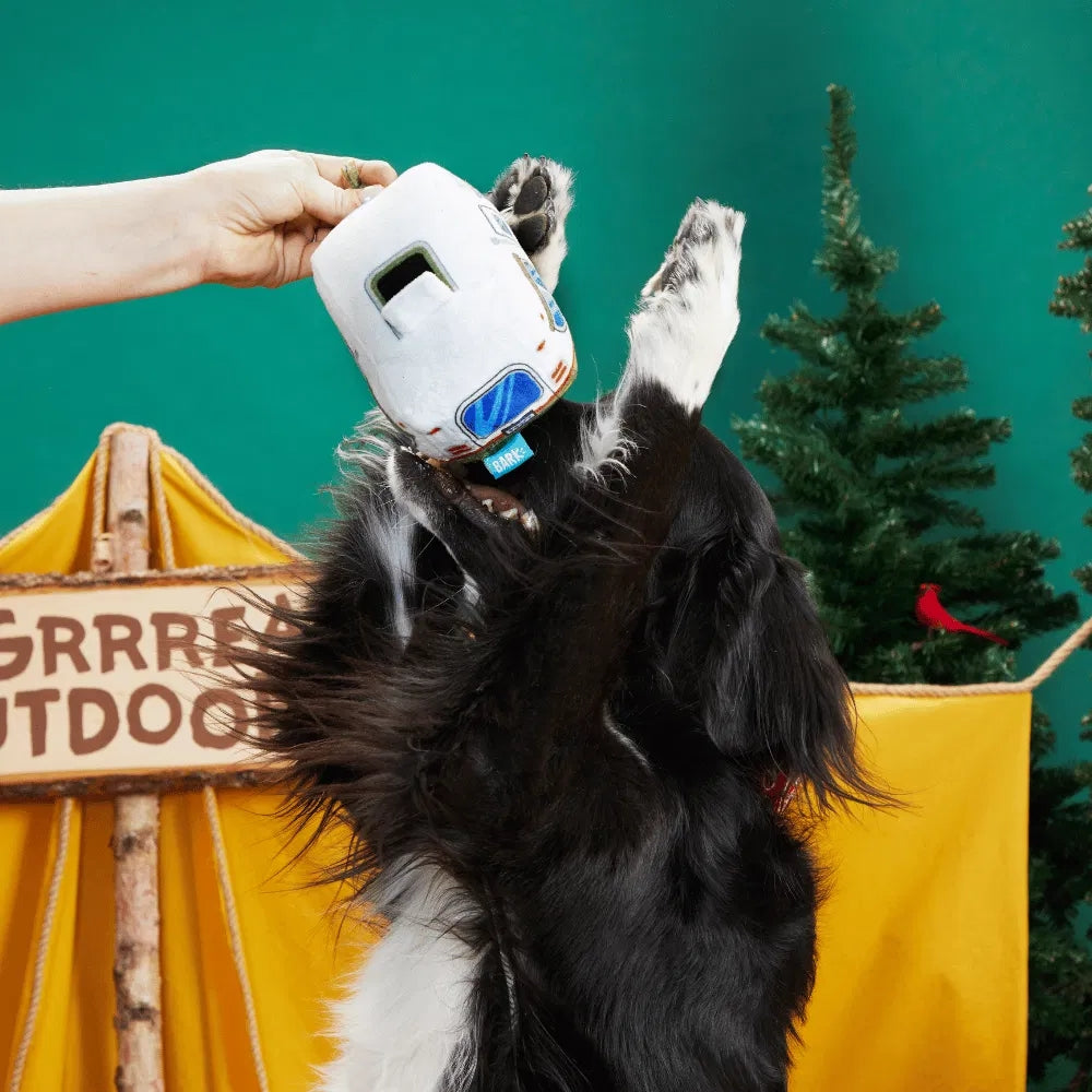 BARK Hairstream Trailer Grrreat Outdoors Dog Toy