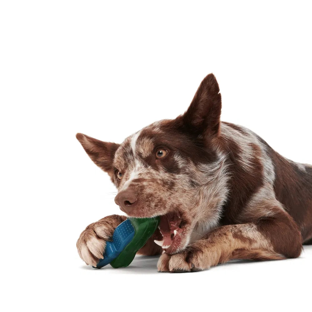 BARK Crocness Monster Super Chewer Dog Toy