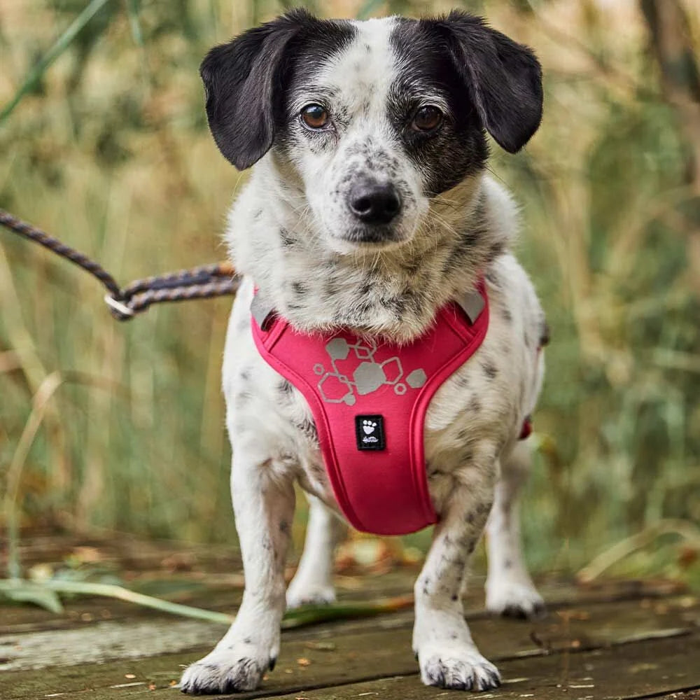 Hurtta Weekend Warrior II ECO Dog Harness Ruby 5 Sizes