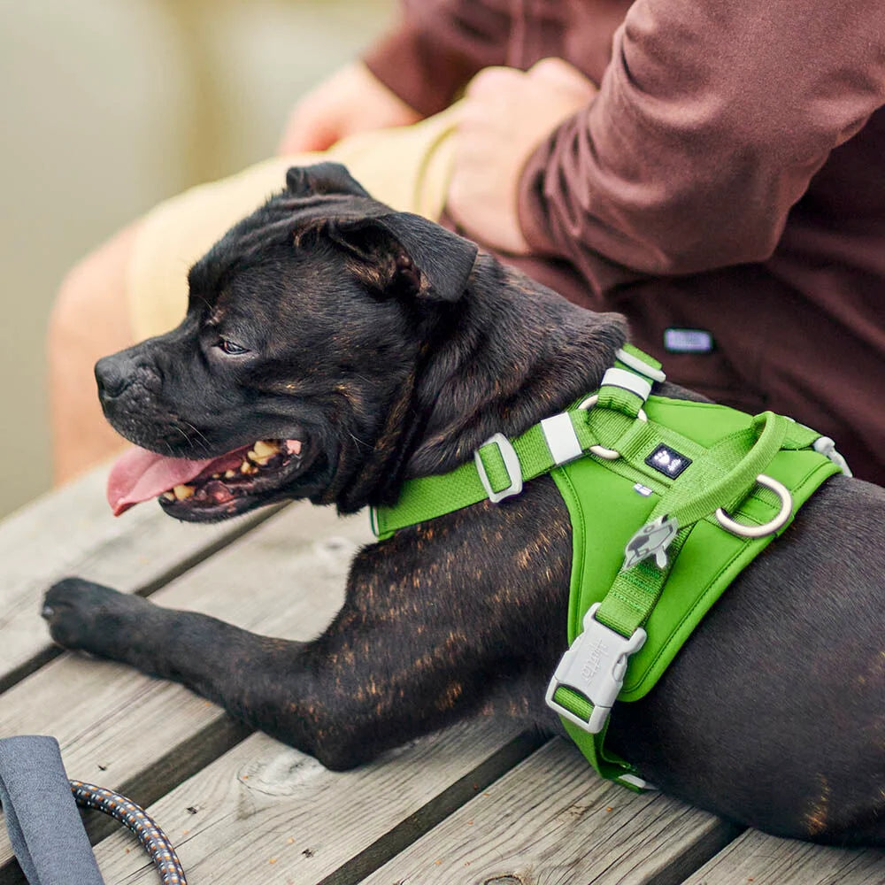 Hurtta Weekend Warrior II ECO Dog Harness Eggplant 5 Sizes