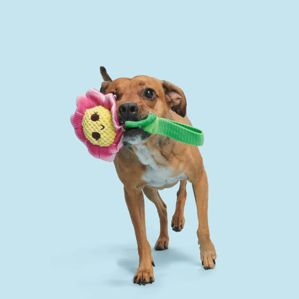 BARK Penny Pechewnia Backyard Garden Dog Toy