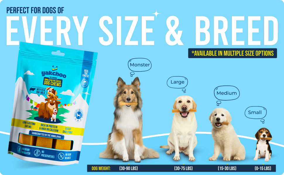 Yakchoo Himalayan Yak Cheese Dog Chews – Small 30g - 5 Pack