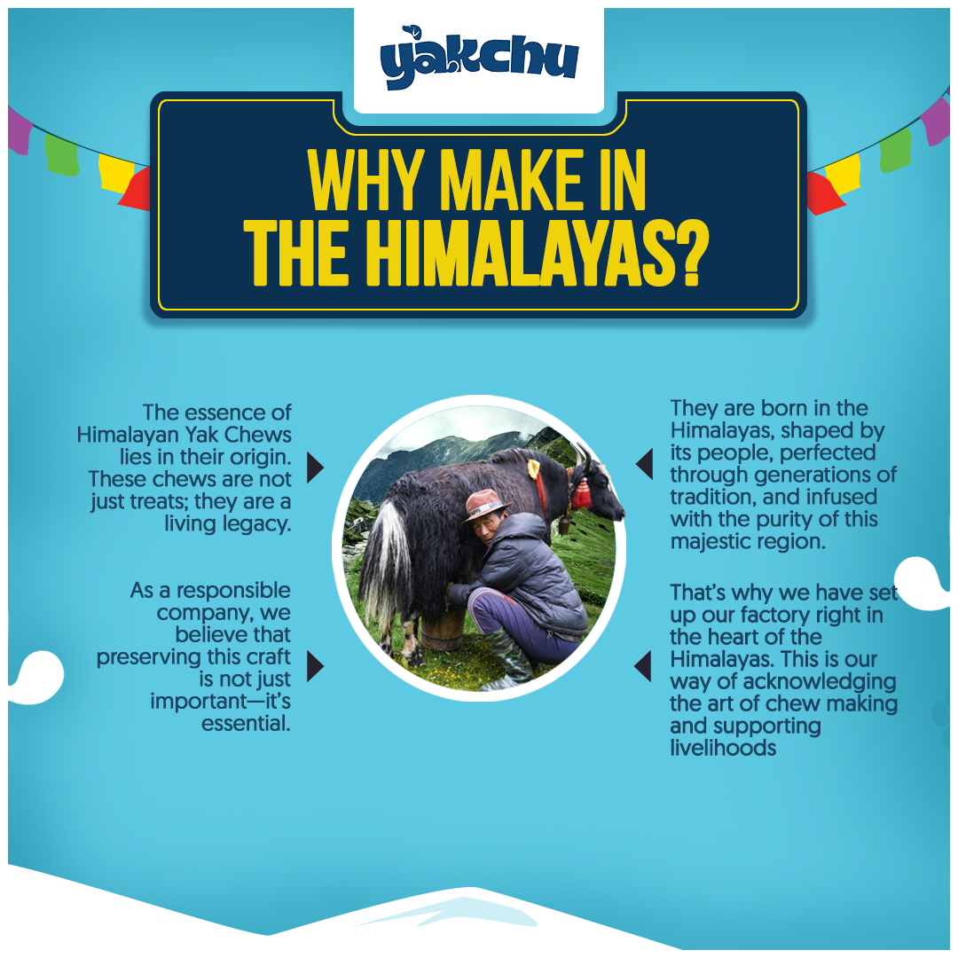 Yakchoo Himalayan Yak Cheese Dog Chews – X-Large 150g - 1 or 2 Pack Options