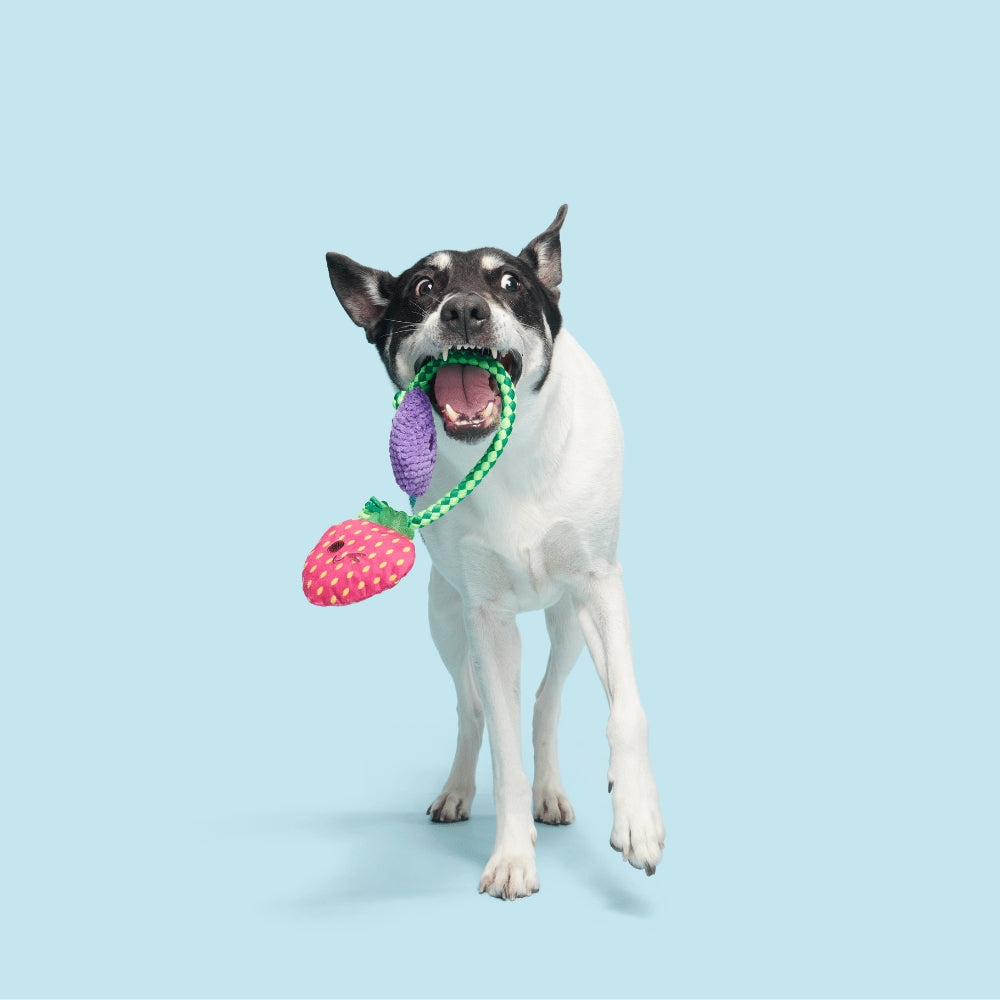 BARK Best Berry Friends Backyard Garden Dog Toy