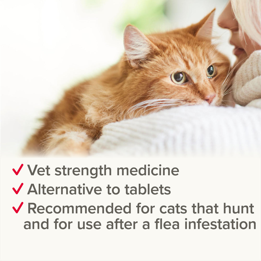 Beaphar WORMclear for Cats Worming Spot-On Solution x 2