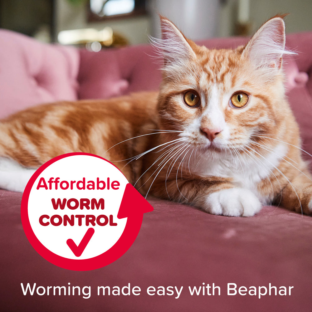 Beaphar WORMclear for Cats Worming Tablets x 2
