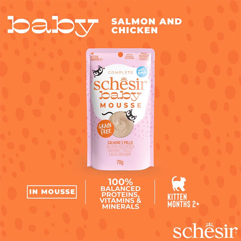 Schesir Kitten Baby Mousse Chicken with Salmon 12 x 70g