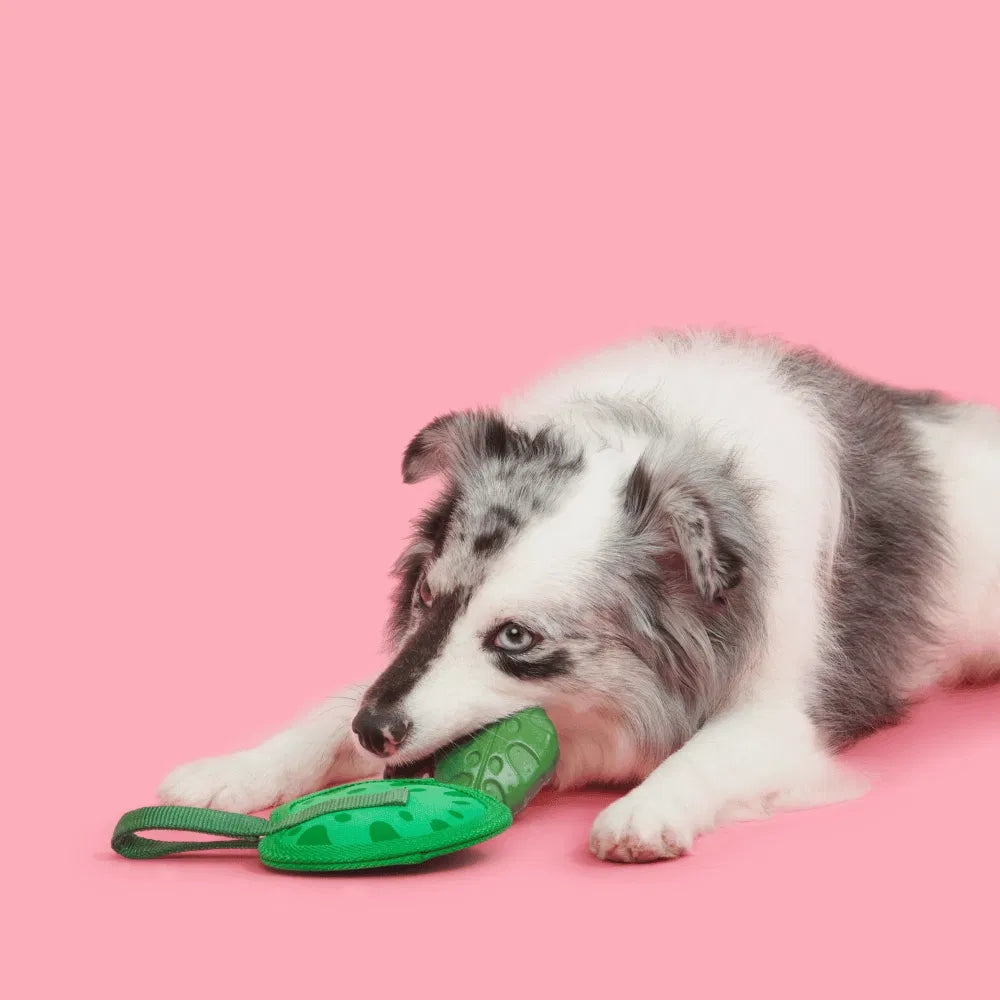 BARK Leaf Thrower Backyard Garden Super Chewer Dog Toy