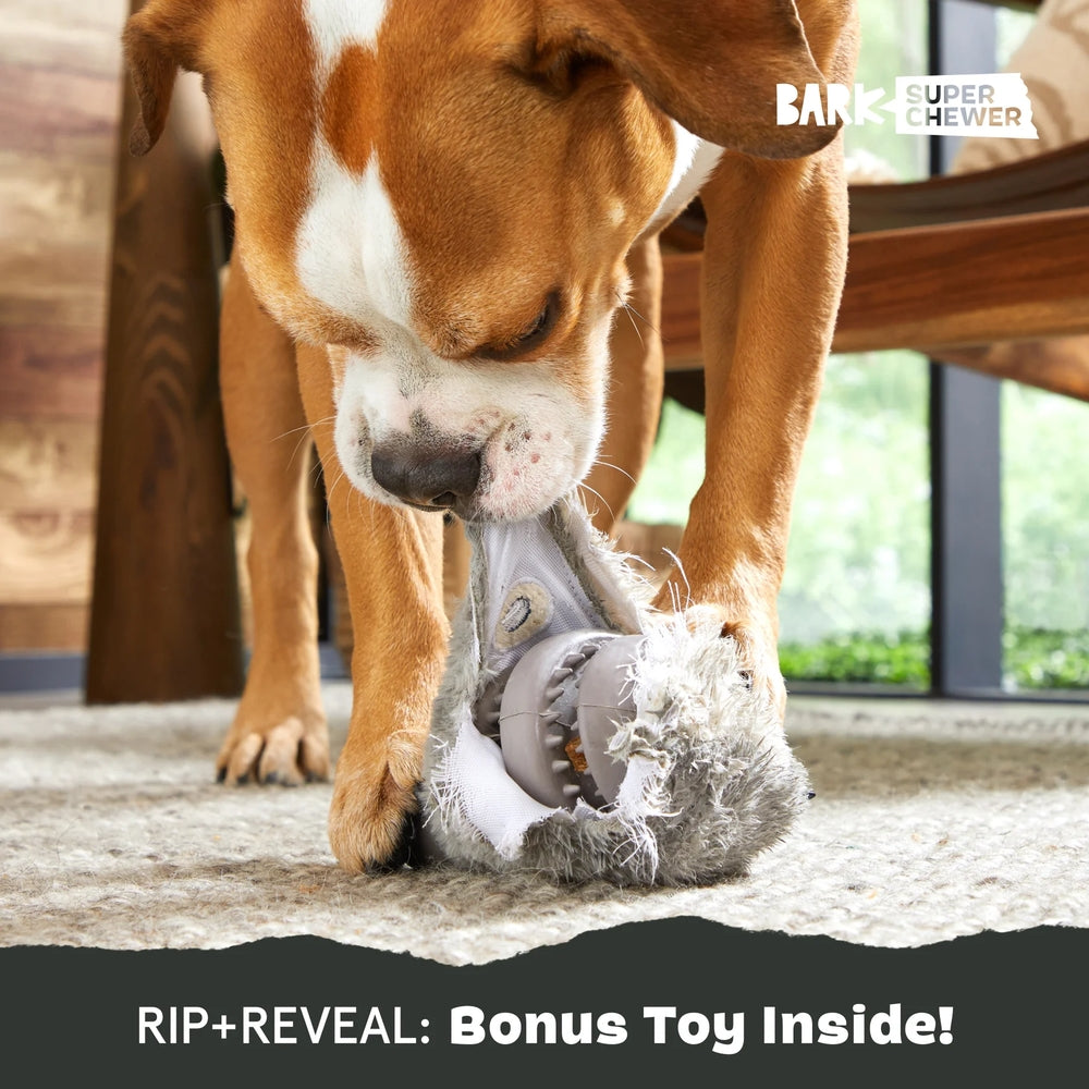 BARK Hare Raiser Super Chewer Dog Toy