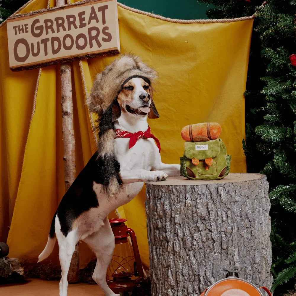 BARK Rowdy Ruckus Rucksack Grrreat Outdoors Dog Toy